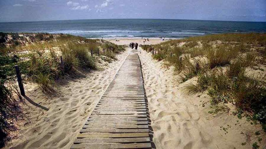 ARRIVÉE A LA PLAGE - LUMIÈRE D'AMBIANCE - CAP FERRET