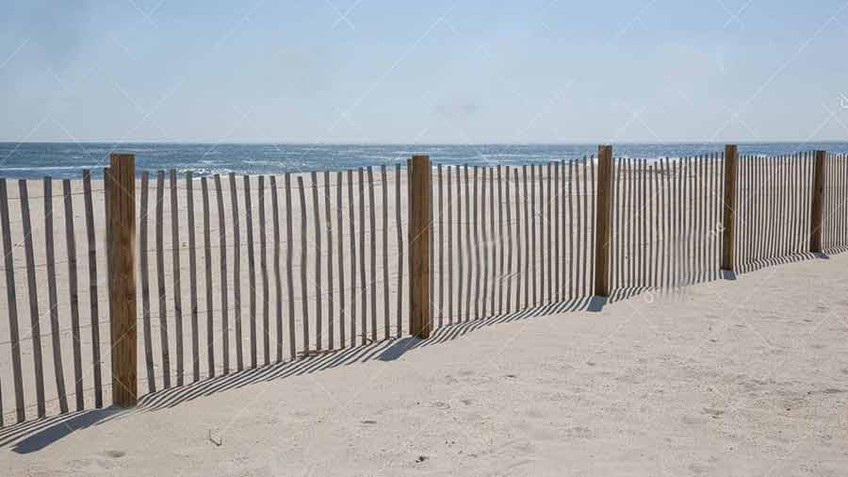 Palissade plage - Lumière d'ambiance - CAP FERRET