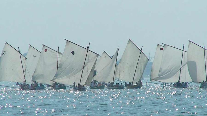 RÉGATE DES PINASSES A VOILE - LUMIÈRE D'AMBIANCE - CAP FERRET - WALL ART 